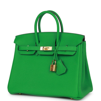 Hermes Birkin 25 Bambou Togo Gold Hardware