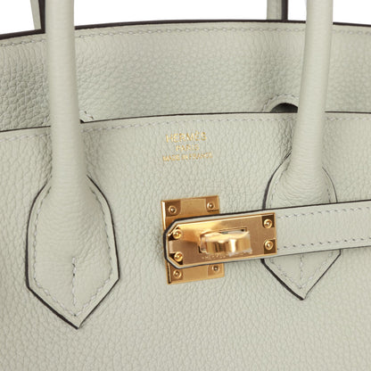 Hermes Birkin 25 Gris Neve Togo Gold Hardware