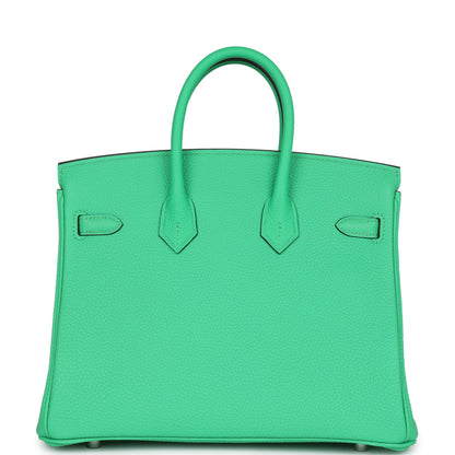 Hermes Birkin 25 Vert Comics Togo Palladium Hardware